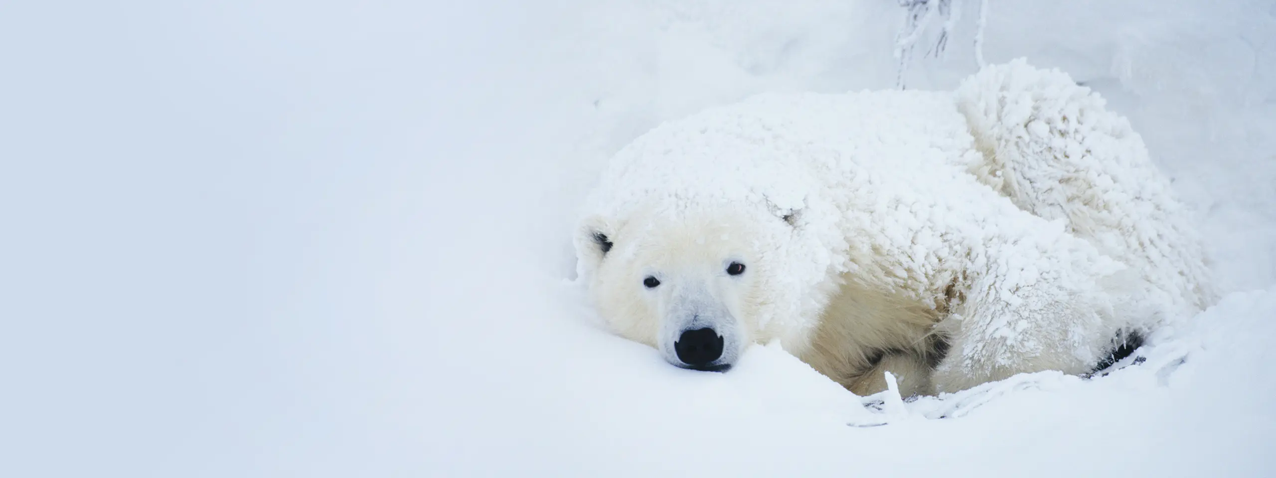 climate-adaptive